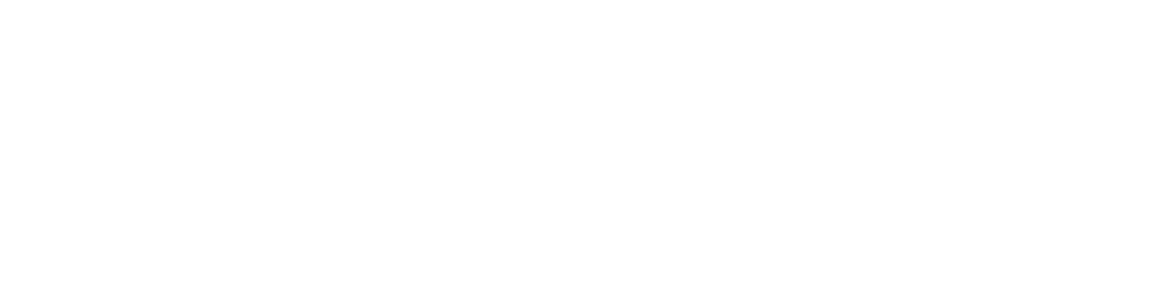 Caribbean BlueBook